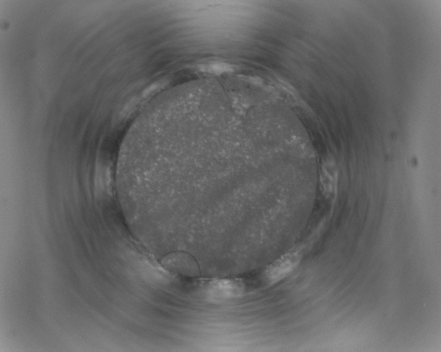 X0000076350330200610272126