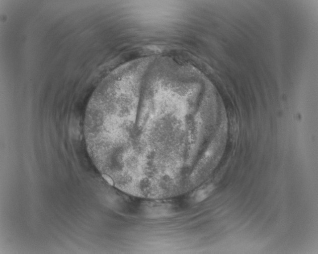 X0000076350331200610272126