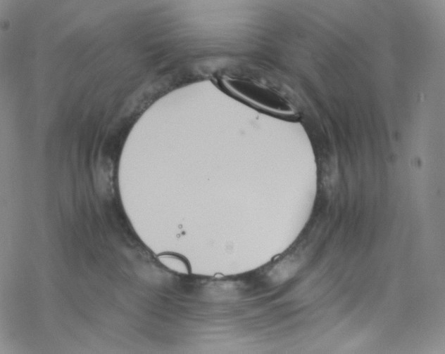 X0000076350332200610272126