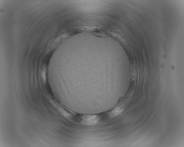 X0000076350334200610272126