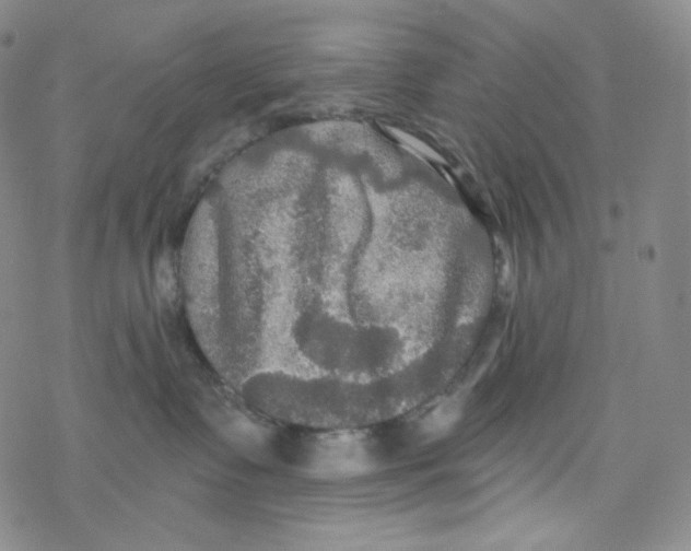 X0000076350335200610272126