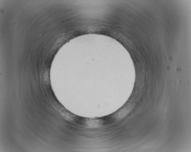 X0000076350336200610272126