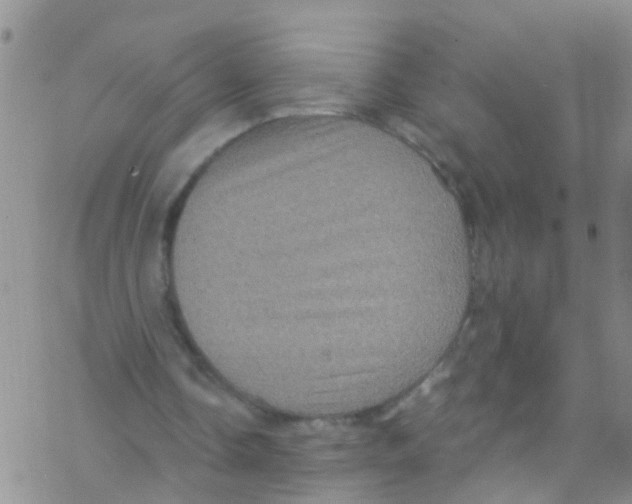 X0000076350338200610272125