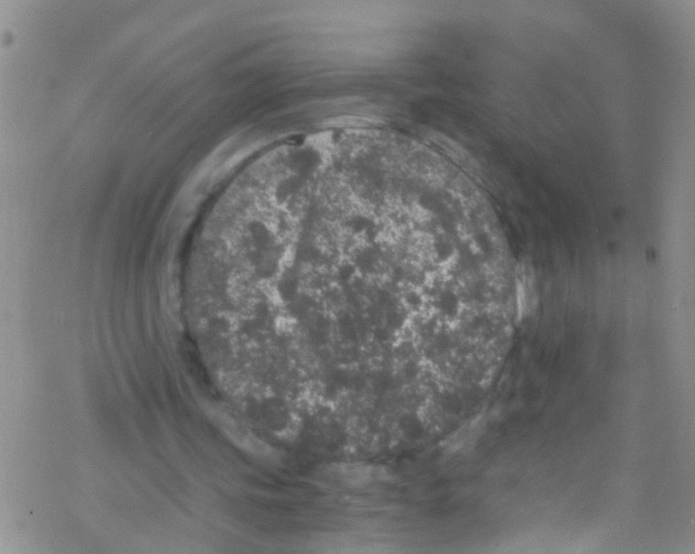 X0000076350339200610272125