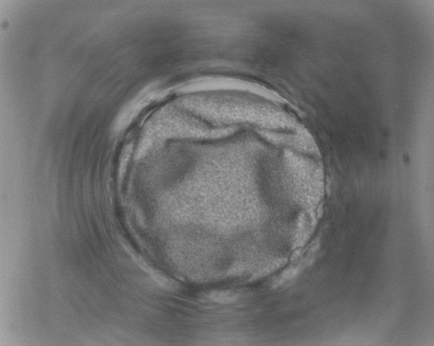 X0000076350341200610272125