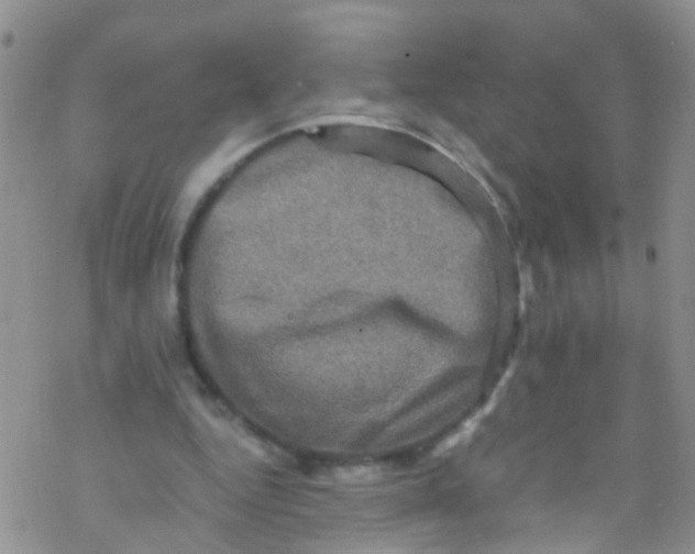 X0000076350344200610272125