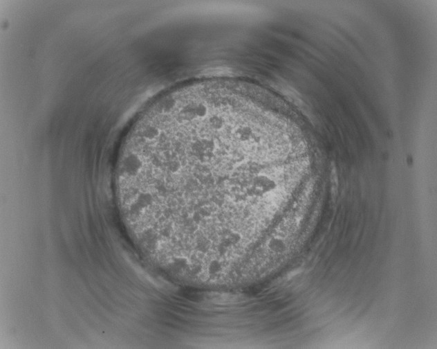 X0000076350347200610272125