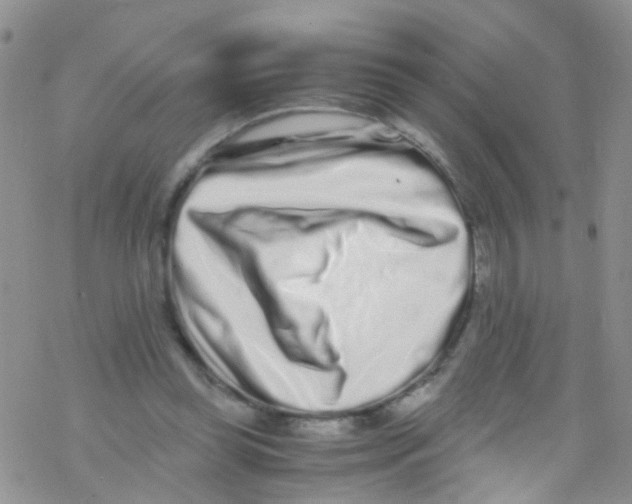 X0000076350349200610272125