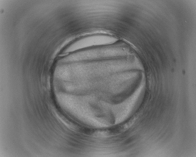 X0000076350350200610272125