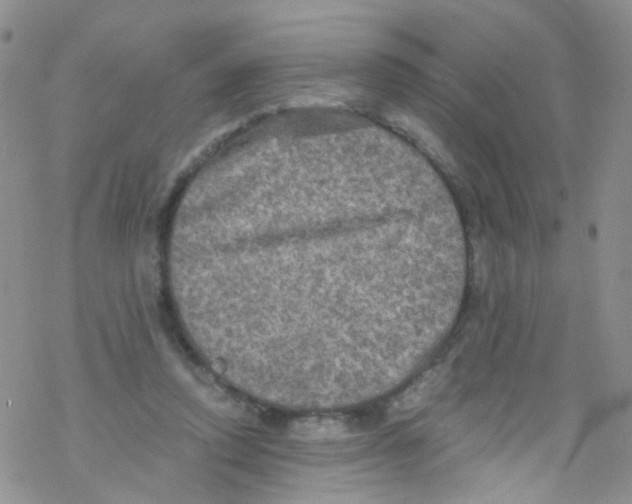 X0000076350354200610272125