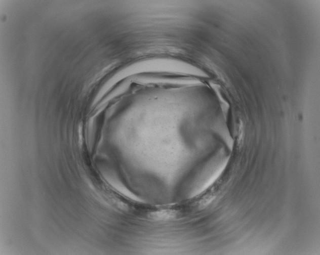 X0000076350356200610272126