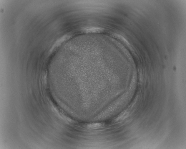 X0000076350357200610272126