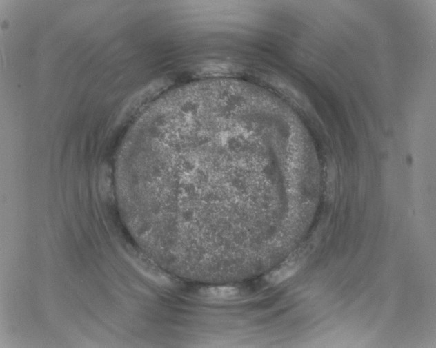 X0000076350361200610272126