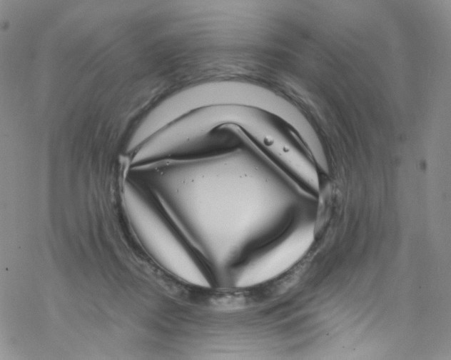 X0000076350362200610272126