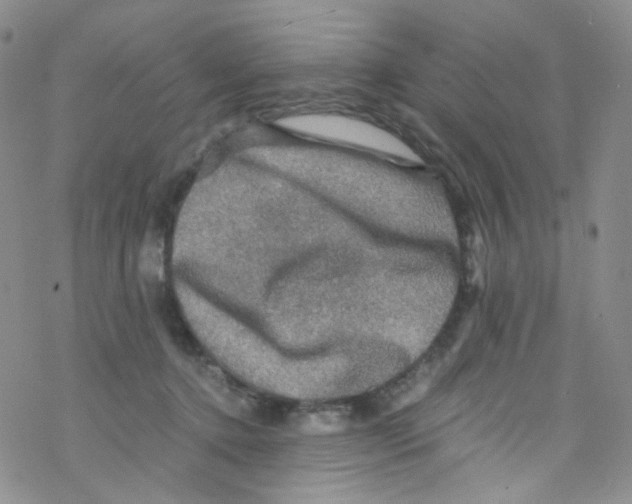 X0000076350368200610272126