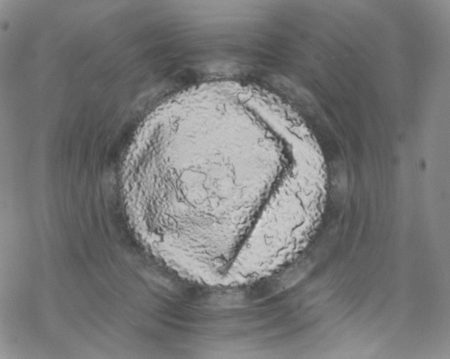 X0000076350369200610272126