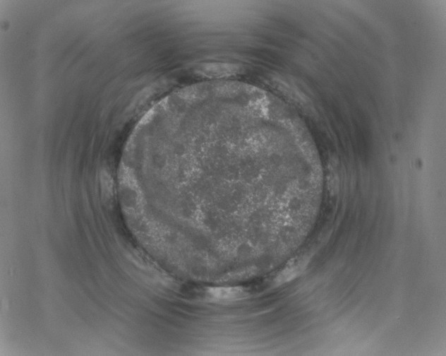 X0000076350371200610272126