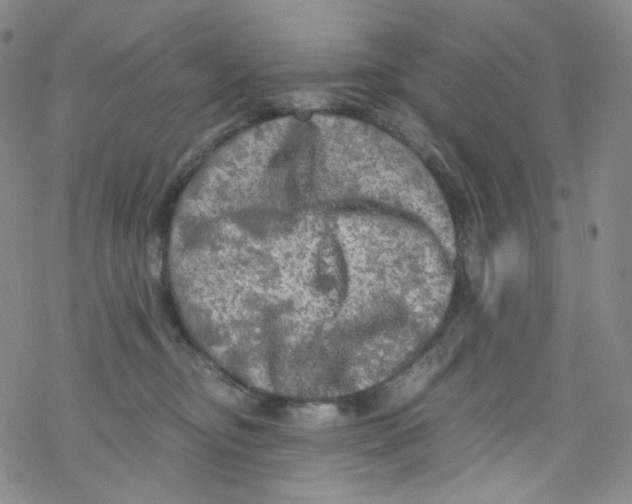 X0000076350374200610272126