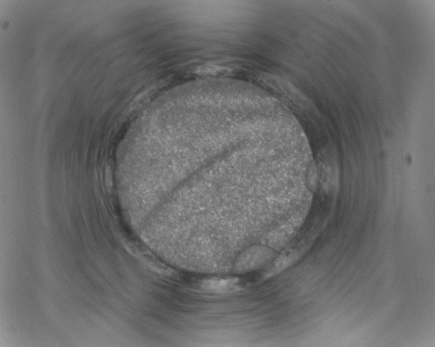 X0000076350375200610272126