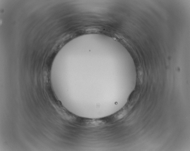 X0000076350379200610272126