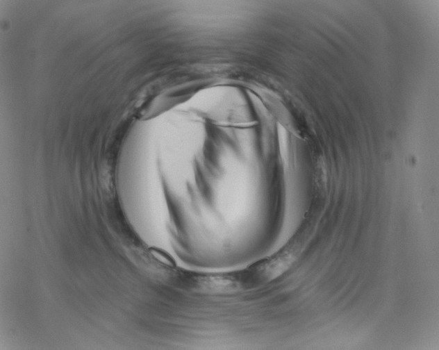 X0000076350380200610272126