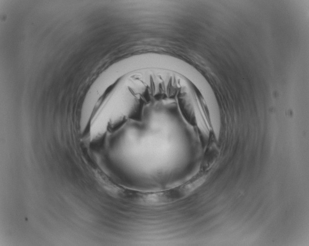 X0000076350382200610272126