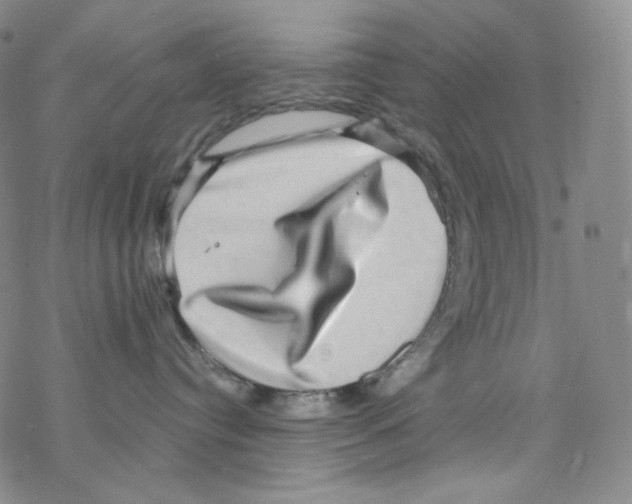 X0000076350384200610272126