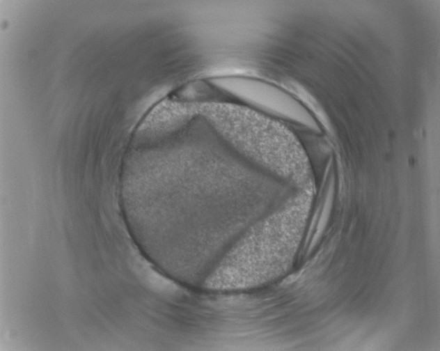 X0000076350385200610272125