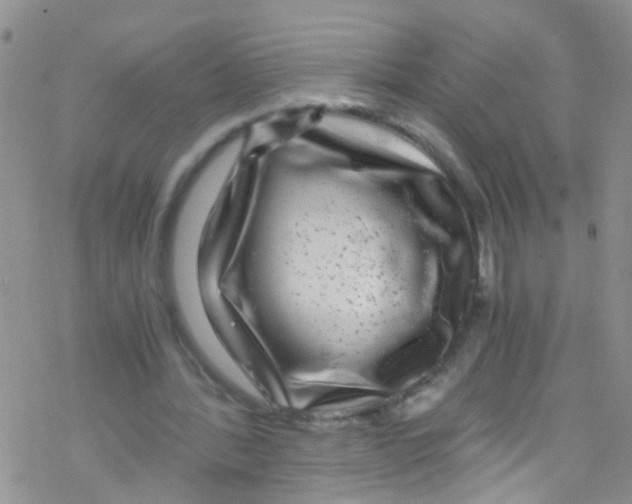 X0000076350388200610272125