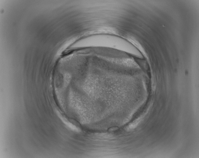 X0000076350389200610272125