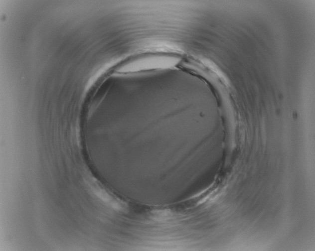 X0000076350391200610272125