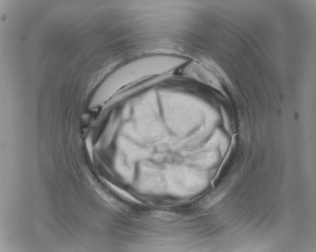 X0000076350393200610272125