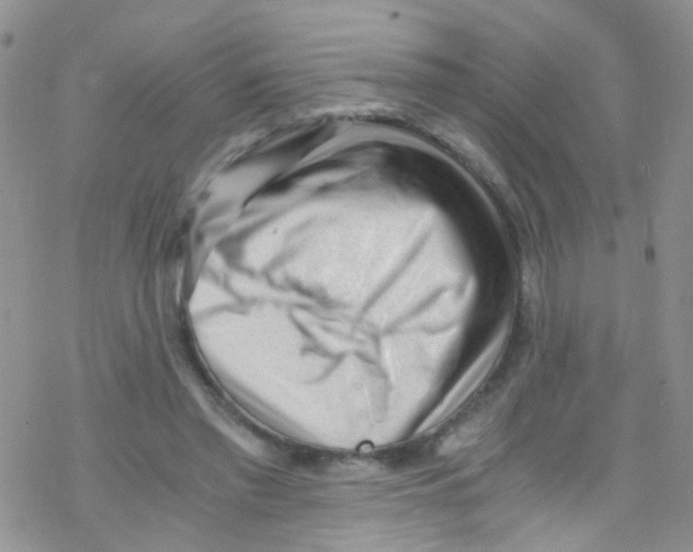 X0000076350397200610272125