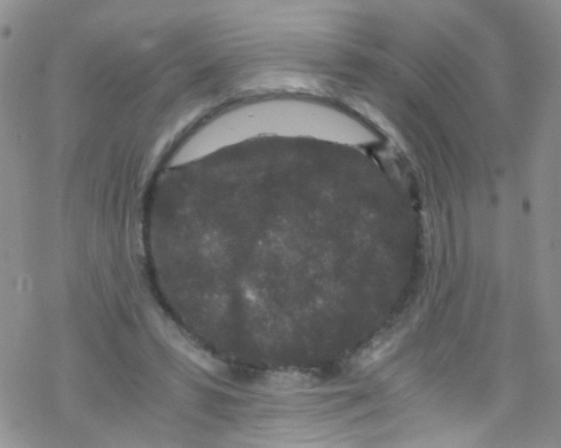 X0000076350399200610272125