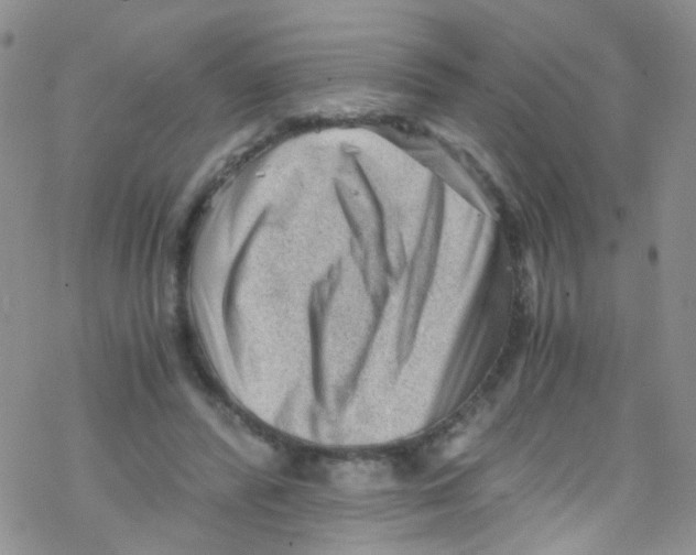 X0000076350400200610272125