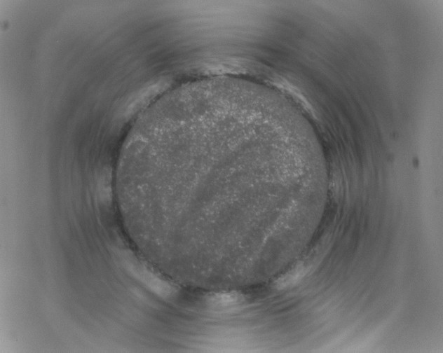 X0000076350402200610272125