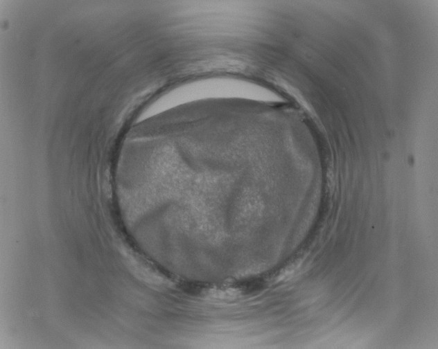 X0000076350403200610272125