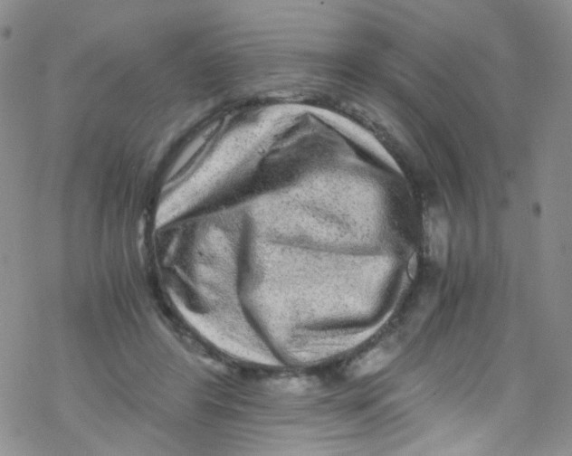 X0000076350404200610272125