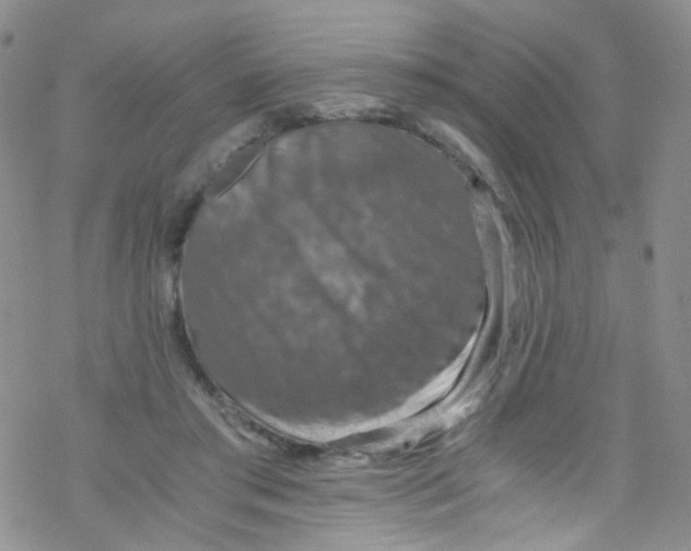 X0000076350405200610272125