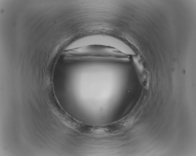 X0000076350407200610272125