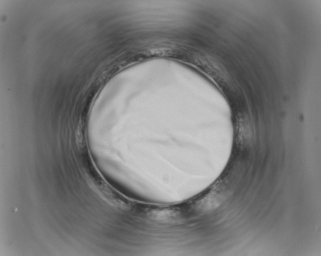 X0000076350408200610272125