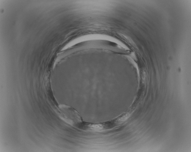 X0000076350409200610272125