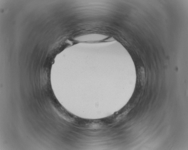 X0000076350412200610272125