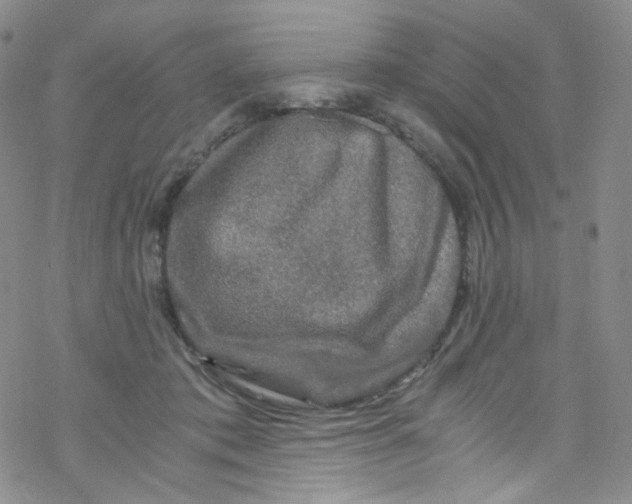 X0000076350413200610272125