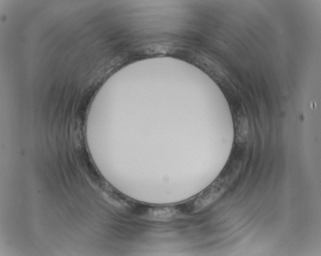 X0000076350414200610272125