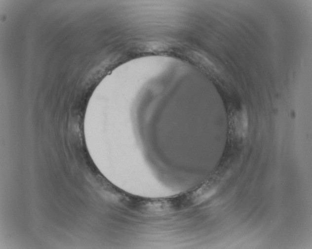 X0000076350415200610272125