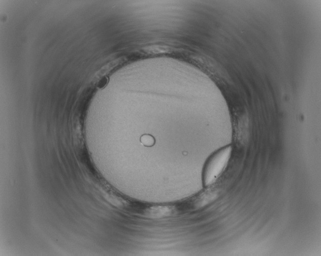 X0000076350418200610272125