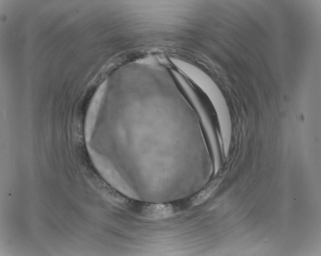 X0000076350421200610272125