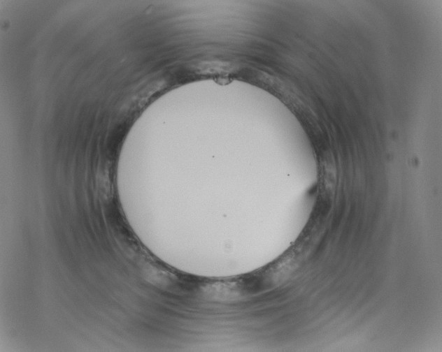 X0000076350422200610272125