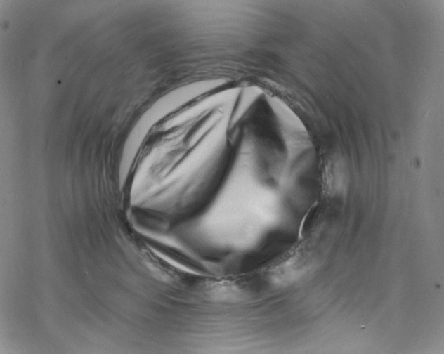 X0000076350424200610272125